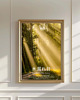 fotografia PLAKAT Komorebi japoński natura fotografia las