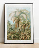 plakaty Plakat JUNGLE vintage
