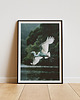 plakaty Plakat - Nature 2