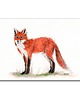 grafiki i ilustracje Obraz ręcznie malowany "Lisek"