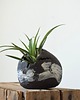 doniczki WYKLUCIE_doniczka ceramiczna_czarna