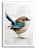 obrazy Obraz na płótnie -AKWARELOWY PTASZEK  40x60cm