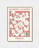 plakaty Plakat botaniczny "Honolulu"
