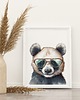 obrazy i plakaty do pokoju dziecięcego Plakat Panda w okularach P335
