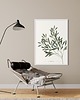grafiki i ilustracje Oliwka / Fine Art Print