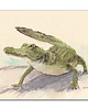 grafiki i ilustracje Krokodyl. Akwarela ręcznie malowana.