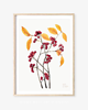 plakaty PLAKAT botaniczny, ilustracja, grafika