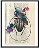 grafiki i ilustracje Cylindorthorax 42x30 cm, A3