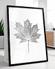 plakaty Plakat Botaniczny Liść Klonu. Minimalistyczna Dekoracja Ścienna. Grafika