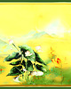 apaszki Jadwabna apaszka damska 100% pure silk -  natura zielony 65 cm x 65 cm
