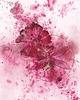 plakaty Plakat Geometric Poppy No. 2  Abstrakcja Akwarela reprodukcja