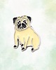 przypinki Przypinka  PIES MOPS