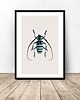plakaty Plakat na ścianę z niebieskim żukiem 50x70 (500mm x 700mm)