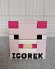 pokój dziecka - różne Przybornik na kredki -  OK 27