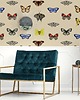 tapety i naklejki ścienne Butterfly