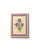 grafiki i ilustracje Krokus. Ilustracja 13x18cm