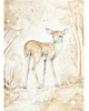 obrazy i plakaty do pokoju dziecięcego Lovely Fawn Poster White / caramel