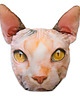 poduszki z grafiką Poduszkot SPHYNX