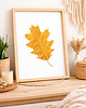 obrazy Obraz Botaniczny. Prawdziwy Liść Dębu. Złoty Liść Dąb 20x30cm. Unikat