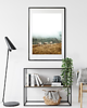 plakaty PLAKAT fotografia owce barany góry