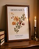 grafiki i ilustracje PLAKAT herbarium kwiaty jesienne