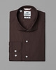 koszule męskie Bawełniana koszula w kolorze czekoladowym
