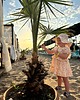 sukienki dla dziewczynki Sukienka NOVELLA organic z krótkim rękawem pink botanics