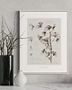 plakaty Ginkgo biloba, print