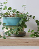 doniczki Doniczka ceramiczna