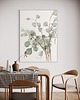 plakaty Plakat Eucalyptus 30x40 cm