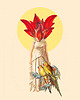 plakaty Plakat / Surrealistyczny Kolaż / Saint Flower