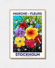 plakaty Plakat botaniczny "Stockholm"