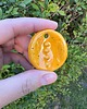 akcesoria różne Kamień antystresowy, worry stone, gładzik, kciukowiec