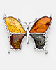 broszki Duża broszka motyl bursztynowy
