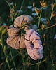 gumki do włosów Scrunchie