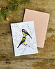 kartki okolicznościowe - wydruki Sikorki bogatki- Kartka- Grafika- Ilustracja- Ptaki