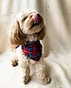 ubranka dla zwierząt Zestaw DOGGO - bandana dla psa + scrunchie