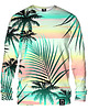 bluzy męskie Bluza Bez Kaptura Męska DR.CROW Tropical Beach