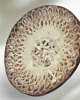 pojemniki na biżuterię Ceramiczna podstawka pod biżuterię
