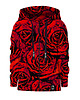 bluzy dla chłopców Bluza Zamek Chłopiec DR.CROW Red Roses