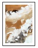 plakaty Acqua di Follia 40a, abstrakcja, oryginalny plakat