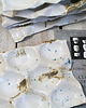patery i talerze Finger Food Plate  - patera