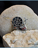 wisiory EARTH JASPER 