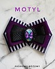 broszki Kolekcja MOTYL, motylek zamknięty pod kaboszonem NEW