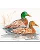 grafiki i ilustracje Akwarela ręcznie malowana "Kaczki"