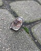 pierścionki - różne Bez aury - pierścionek regulowany