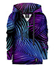 bluzy dla chłopców Bluza Chłopiec DR.CROW Palmy Fiolet
