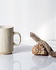 kubki Kubek ceramiczny biały prosty