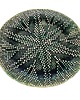 patery i talerze Talerz Ceramiczny Zielony Ręcznie Robiony Średnica 25 cm n