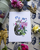grafiki i ilustracje Plakat Kot w Pelargoniach